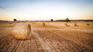 blog_xugatlanta_fields